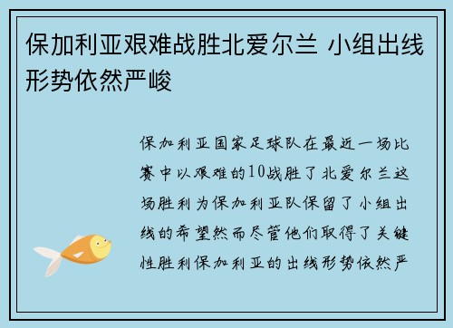 保加利亚艰难战胜北爱尔兰 小组出线形势依然严峻