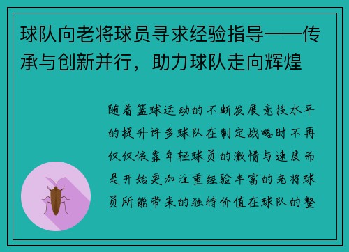球队向老将球员寻求经验指导——传承与创新并行，助力球队走向辉煌