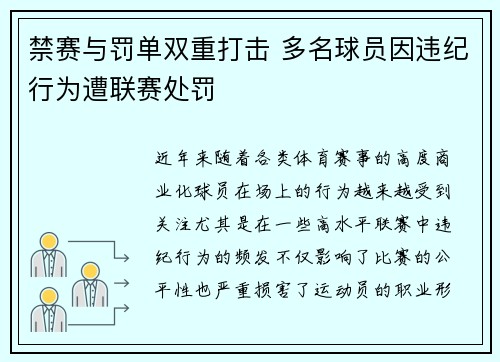 禁赛与罚单双重打击 多名球员因违纪行为遭联赛处罚