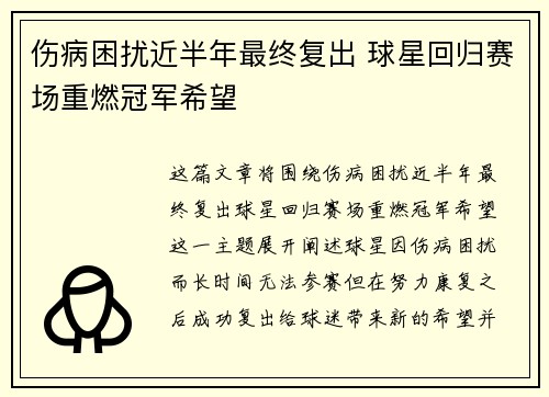 伤病困扰近半年最终复出 球星回归赛场重燃冠军希望